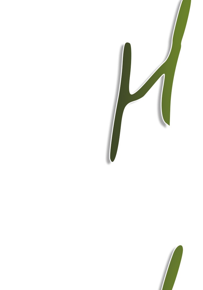 Tower of God Manga Chapter 544 page 206 - [Season 3] Ep. 127