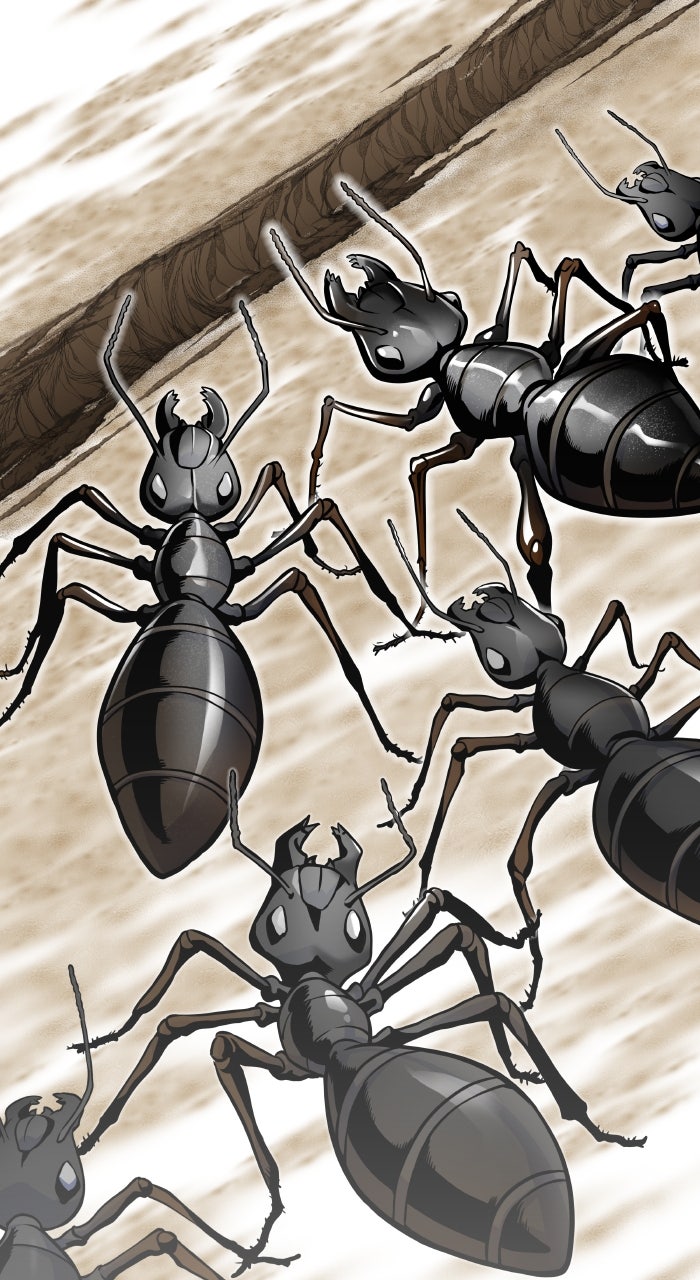 Tower of God Manga Chapter 581 page 8 - [Season 3] Ep. 164