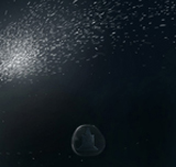 Tower of God Manga Chapter 61 ([Season 1] Ep. 60) cover